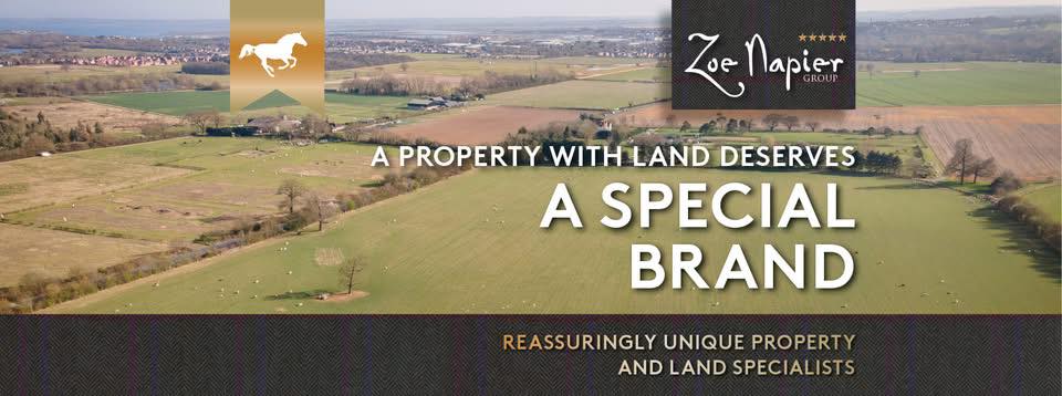Zoe Napier Group Social Media Management, Competition Management